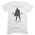 SUPERMAN : PAISLEY SIHOUETTE PREMIUM CANVAS ADULT SLIM FIT T-SHIRT 30\1 WHITE SM Online