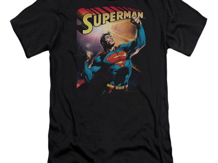 SUPERMAN : VICTORY PREMIUM CANVAS ADULT SLIM FIT T-SHIRT 30\1 BLACK SM For Sale