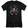 SUPERMAN : VILLAINS PREMIUM CANVAS ADULT SLIM FIT T-SHIRT 30\1 BLACK XL Cheap