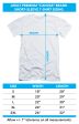 SUPERMAN : MANY SUPER SKILLS PREMIUM CANVAS ADULT SLIM FIT T-SHIRT 30\1 ATHLETIC HEATHER SM For Cheap