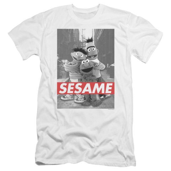 SESAME STREET : SESAME PREMIUM ADULT RINGSPUN COTTON SHORT SLEEVE White MD Sale