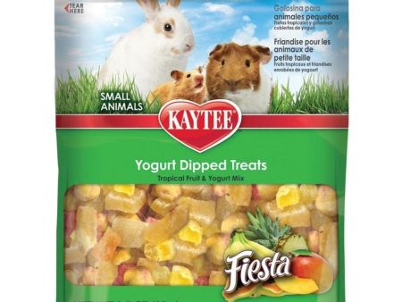 Kaytee Fiesta Yogurt Dipped Treats Online Sale