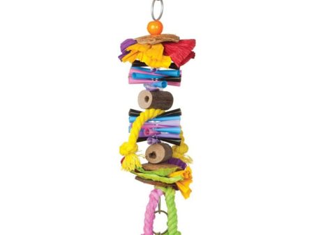 TROPICAL TEASERS PARTY TIME BIRD TOY For Discount