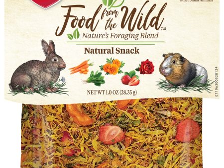 Kaytee Food From The Wild Treat Medley - Rabbit   Guinea Pig Formula For Discount